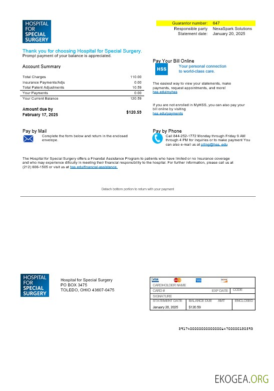 Modèle de facture de services publics de l'hôpital de l'Ohio des États Unis pour la chirurgie spéciale aux formats Word et PDF